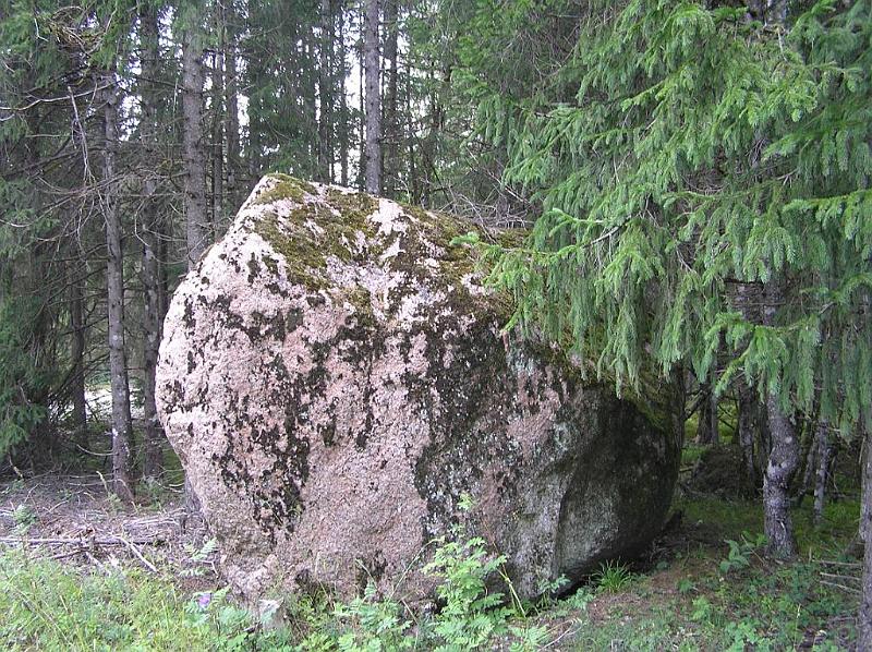Suvine seiklus saarel (597) 